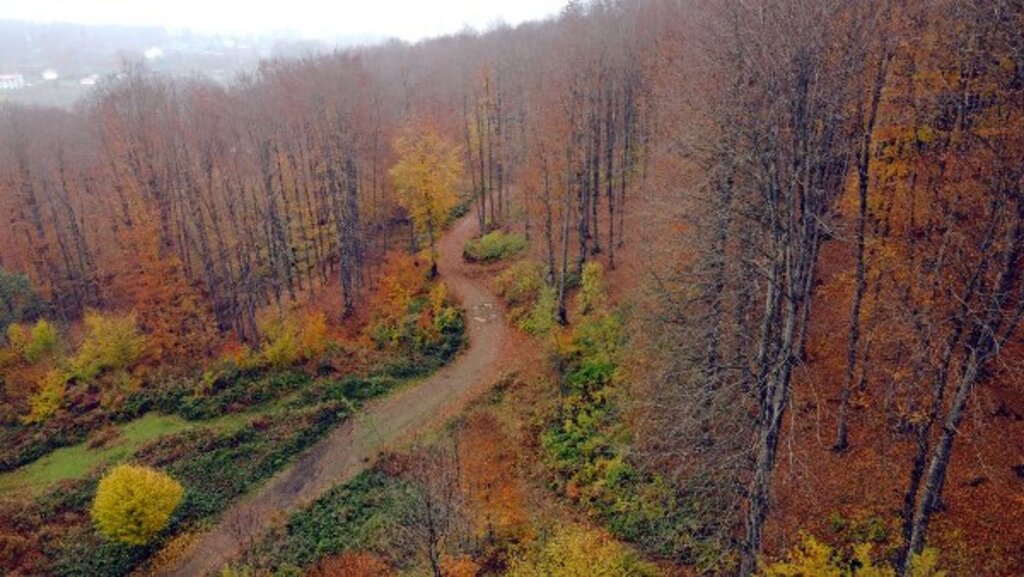 Samsun'un doğa harikası Nebiyan Dağı'ndan muhteşem fotoğraflar