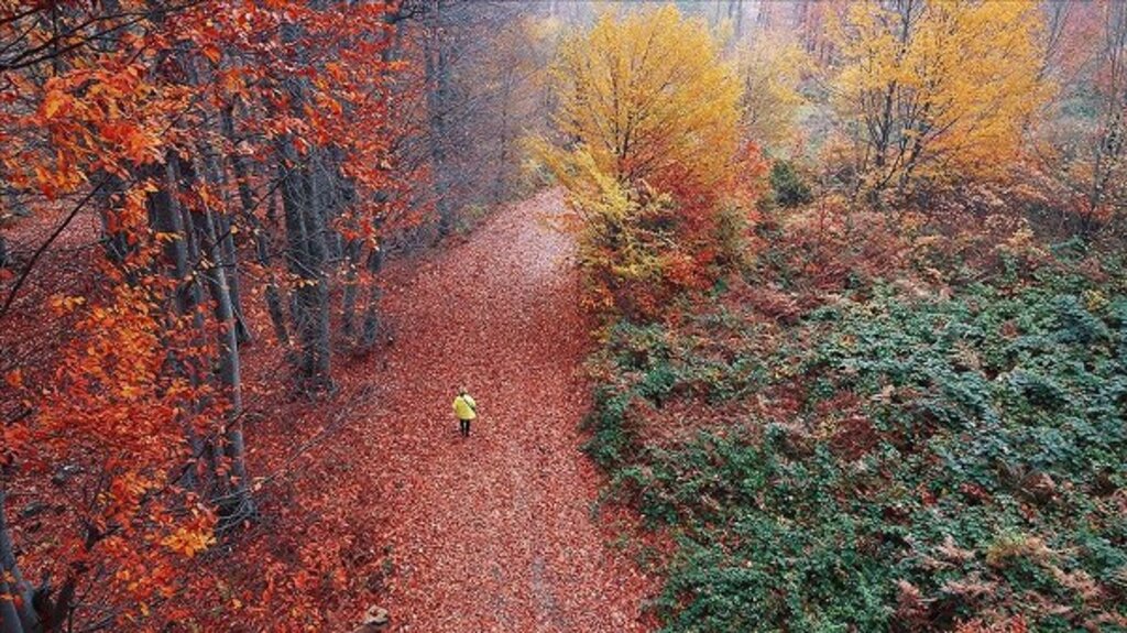 Samsun'un doğa harikası Nebiyan Dağı'ndan muhteşem fotoğraflar