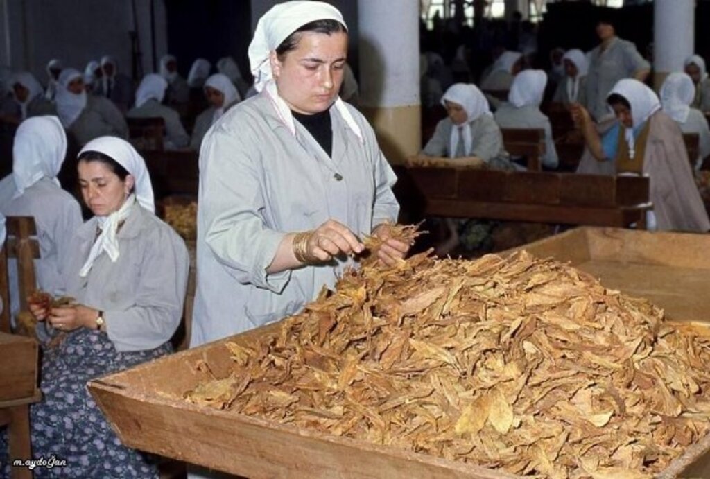 Samsun Tütün Fabrikası'ndan nostalji fotoğraflar