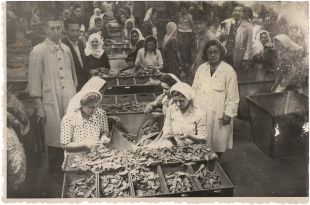 Samsun Tütün Fabrikası'ndan nostalji fotoğraflar