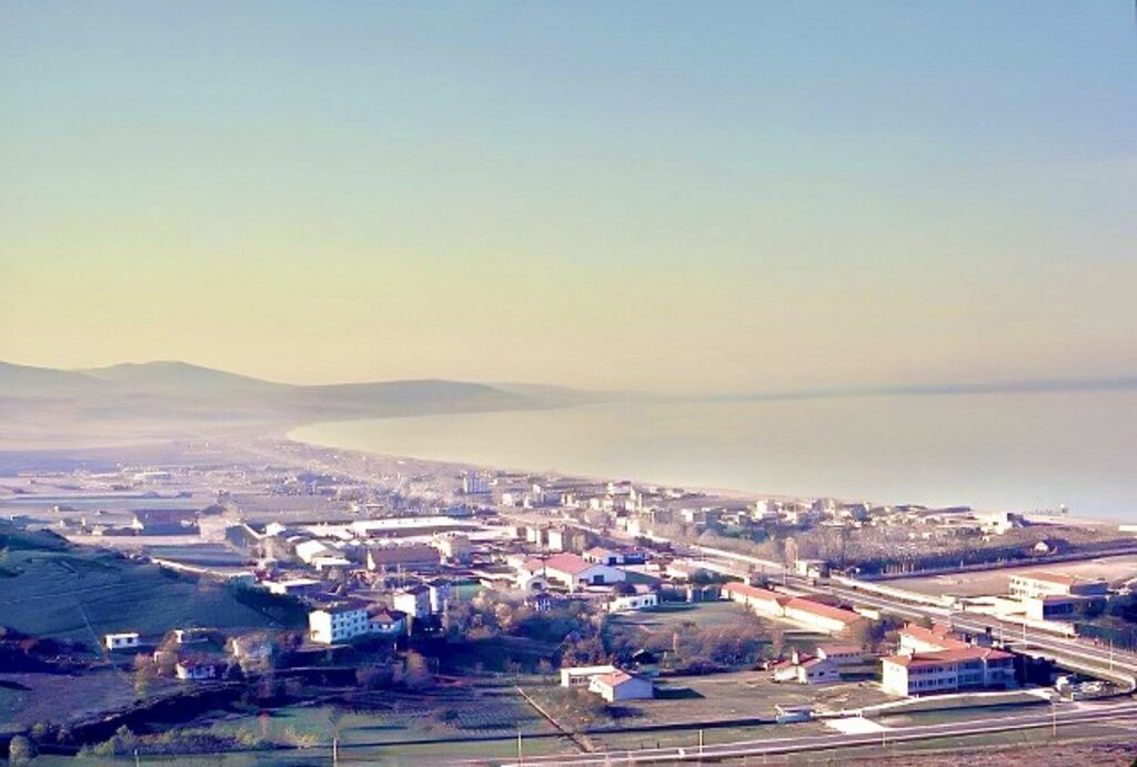 Samsun'da bir zamanlar zeytin ağaçları vardı!