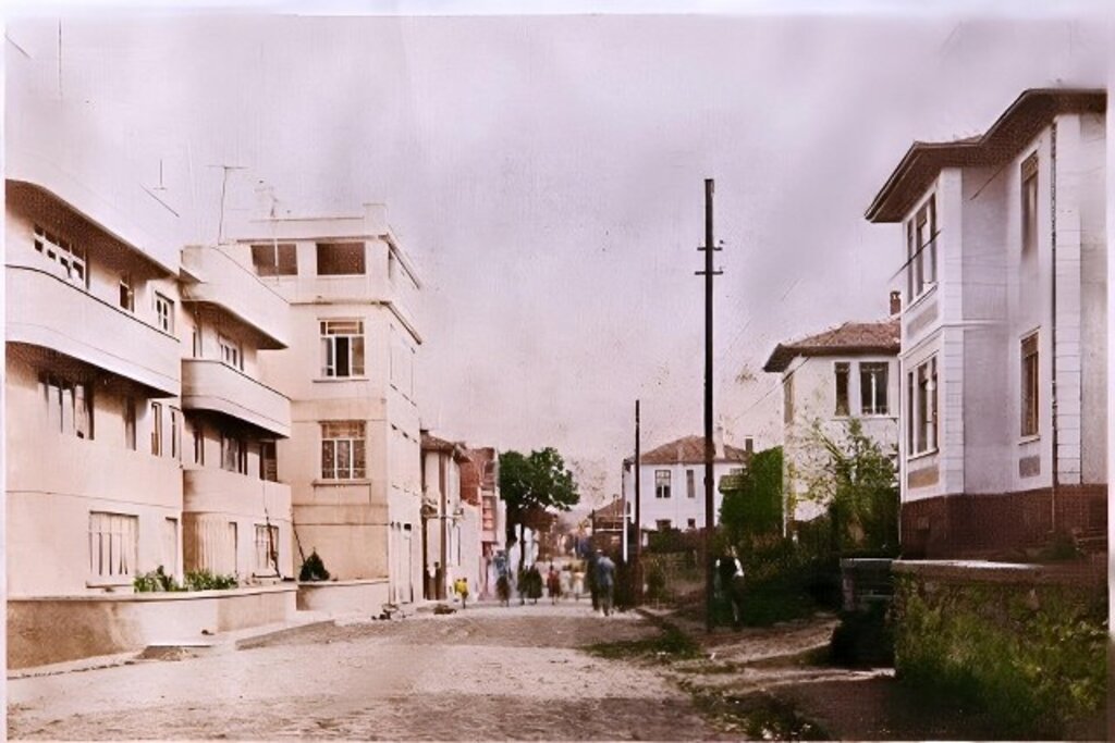 Samsun'da bir zamanlar zeytin ağaçları vardı!