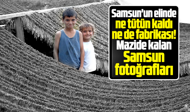 Samsun'un elinde ne tütün kaldı ne de fabrikası! Mazide kalan Samsun fotoğrafları