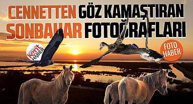 Samsun'da Kızılırmak Deltası Kuş Cenneti'nden sonbahar fotoğrafları