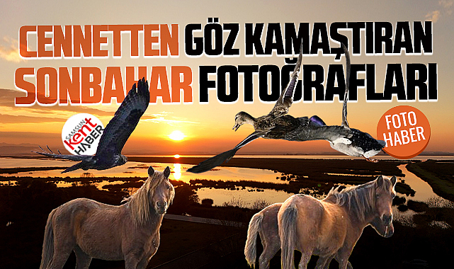 Samsun'da Kızılırmak Deltası Kuş Cenneti'nden sonbahar fotoğrafları