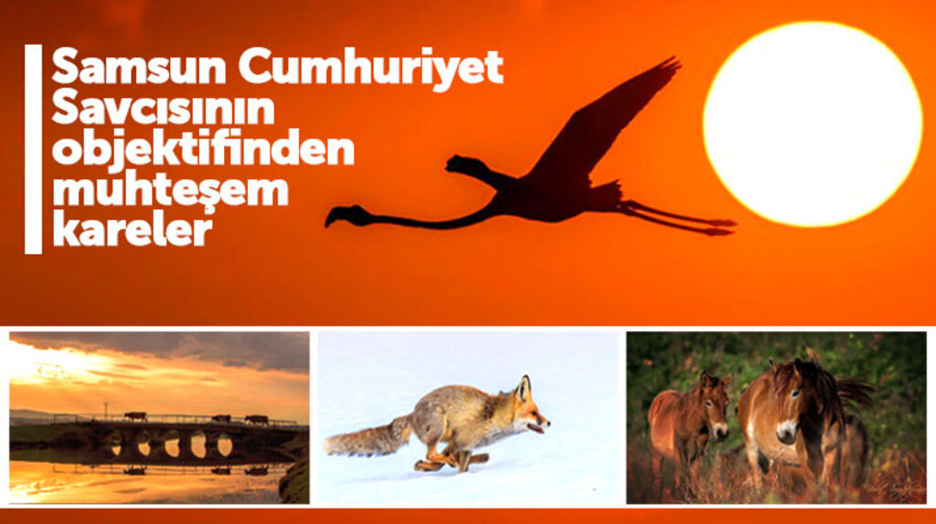 Samsun Cumhuriyet Savcısı Vedat Soğukpınar'dan muhteşem kareler