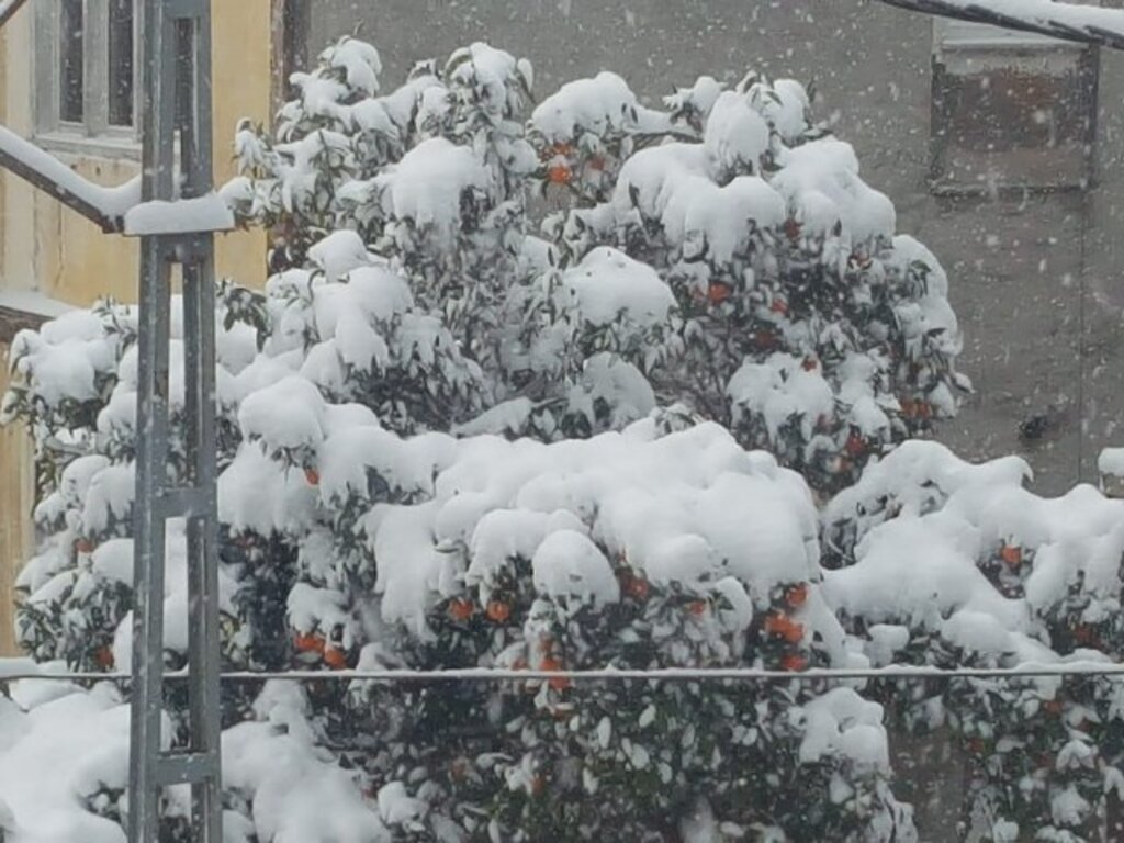 Samsun'dan 2020 yılının kar fotoğrafları
