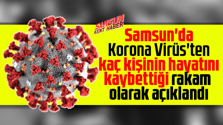 Samsun'da Korona Virüs'ten kaç kişi hayatını kaybetti? İşte o ölüm sayısı