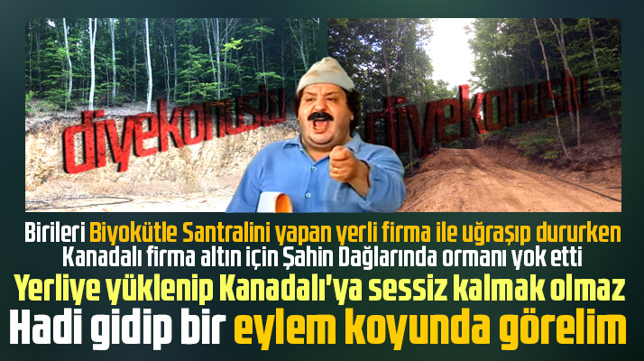 Samsun'da Kanadalı firma altın için Şahin Dağlarında ki ormanı adeta yok etti