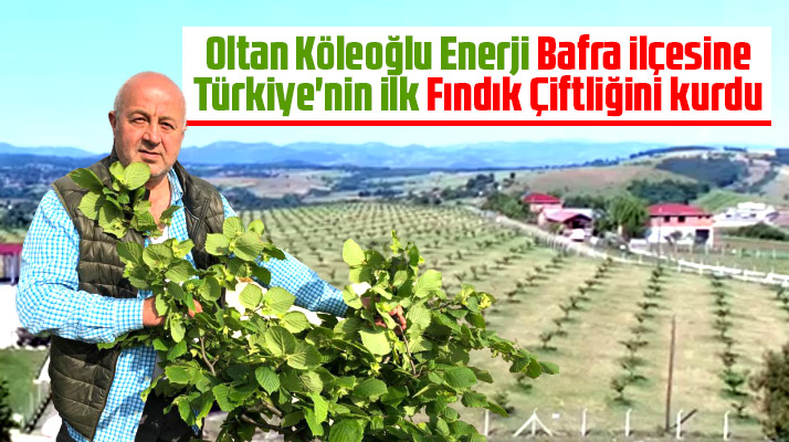 Oltan Köleoğlu Enerji Bafra ilçesine Türkiye'nin ilk Fındık Çiftliğini kurdu