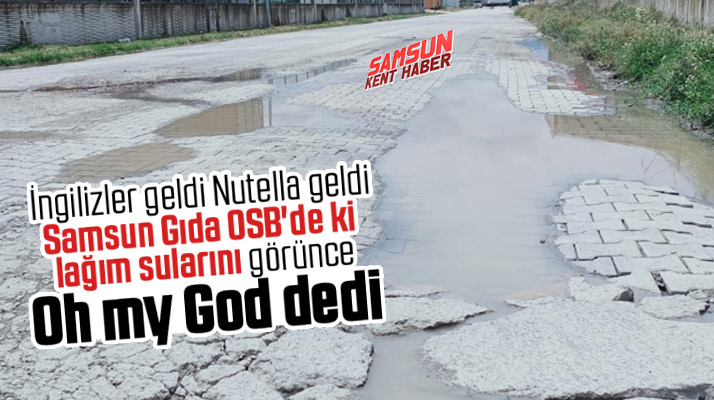 Samsun Gıda Organize Sanayi Bölgesini lağım suları bastı