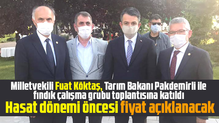 Samsun Milletvekili Köktaş, 2020 fındık fiyatının hasat dönemi öncesi açıklanacağını söyledi