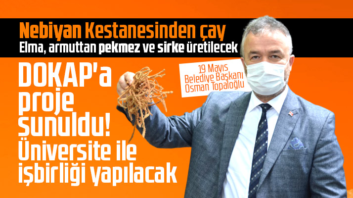 Samsun'da Nebiyan Kestanesinden çay üretimi için DOKAP'a proje sunuldu