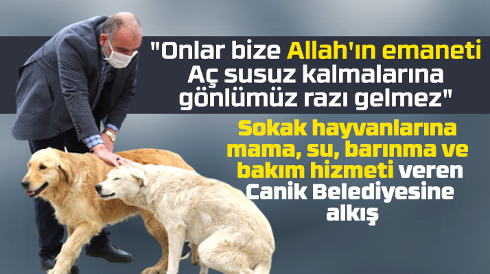 Canik Belediyesi sokak hayvanlarına mama, su, barınma ve bakım hizmeti veriyor
