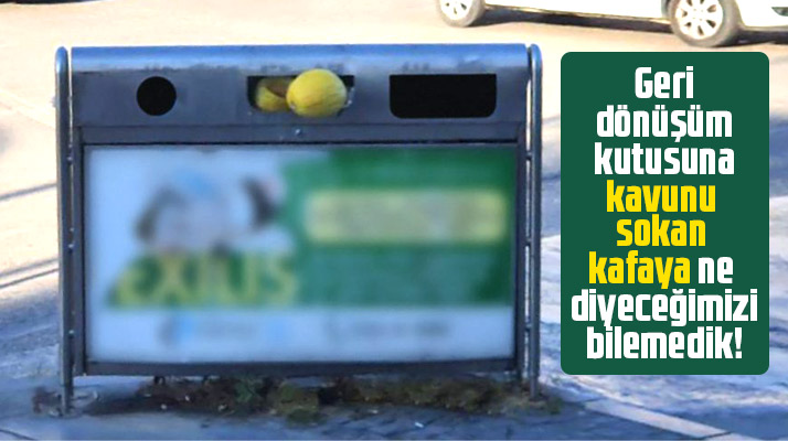 Samsun'da geri dönüşüm kutusuna kavun attılar