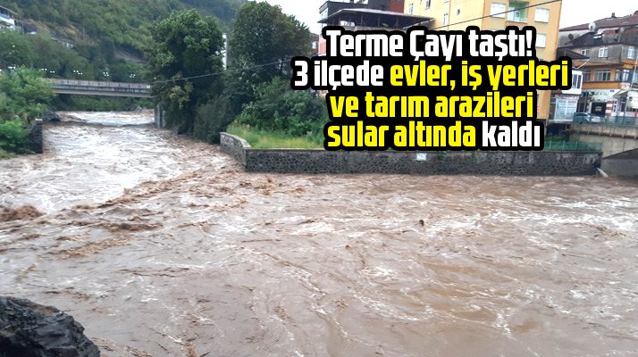 Samsun'da 3 ilçeye sağanak yağmur yağdı! Ev, iş yeri ve tarım arazileri sulan altında