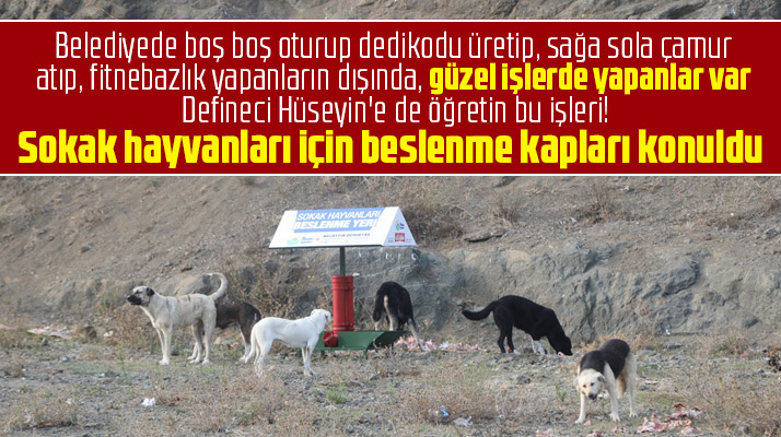 İlkadım Belediyesi yerleşim yeri uzağında ki sokak hayvanları için mama kapları koydu