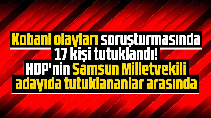HDP'nin Samsun Milletvekili adayı Alp Altınörs tutuklandı