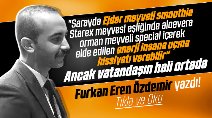 Furkan Eren Özdemir yazdı! Türk Tipi Siyaset! Vatandaşın hali ortada