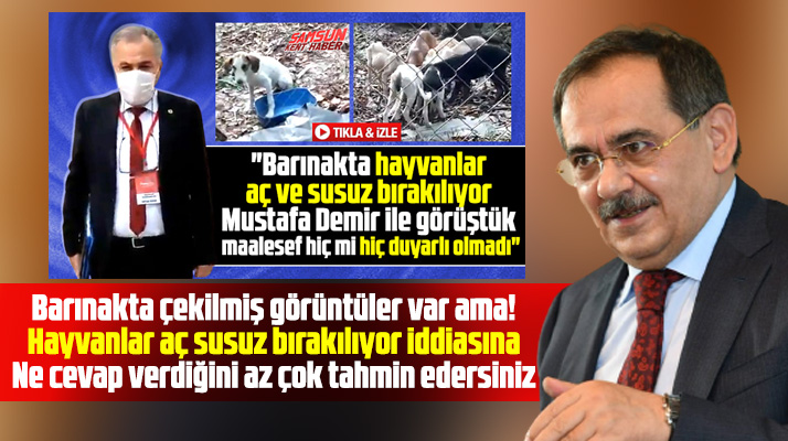 Samsun Hayvan Barınağı ile ilgili iddialara Mustafa Demir açıklama yaptı