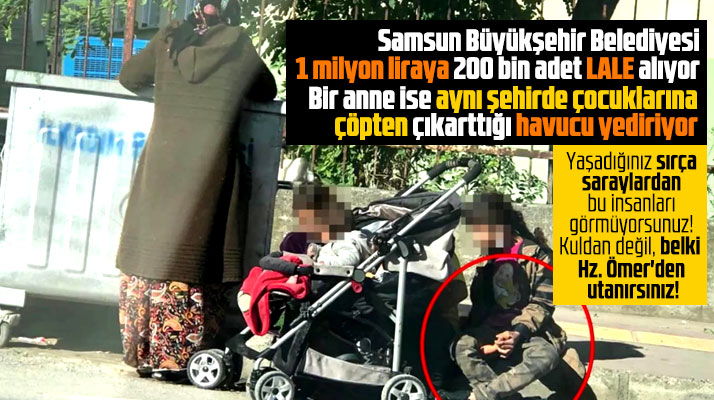 Samsun'da 1 milyon liraya lale alınıyor, aynı şehirde bir anne çöpten havuç topluyor