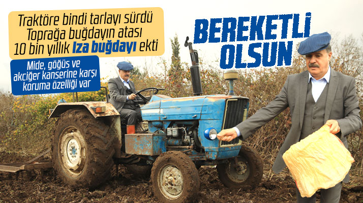 Atakum Belediye Başkanı Cemil Deveci toprağa Iza buğdayı tohumlarını ekti