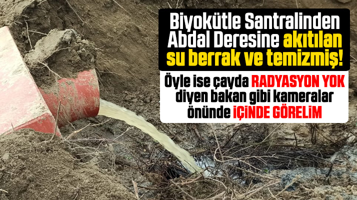 Çarşamba Biyokütle Santralinden Abdal Deresine akan su berrak ve temizmiş!