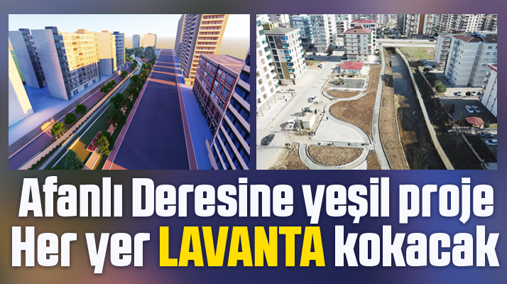 Atakum ilçesinde Afanlı Deresi yemyeşil bir çehreye kavuşacak