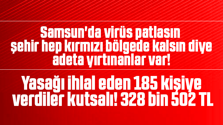 Samsun'da sokağa çıkma yasağını ihlal eden 185 kişiye 328 bin lira ceza verildi