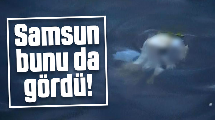 Samsun bunu da gördü! Denize cenin atıldı