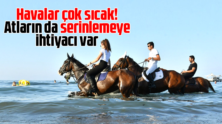 Samsun'da binicilik spor tesisi atları denize girerek serinledi