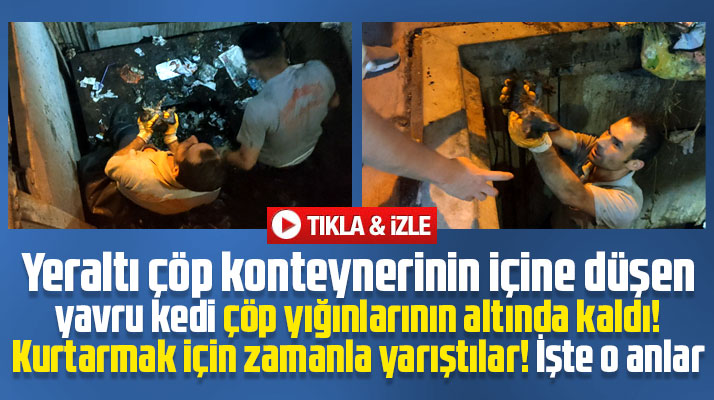 Samsun'da yeraltı çöp konteynerinin içine düşen yavru kedinin kurtarılma anları