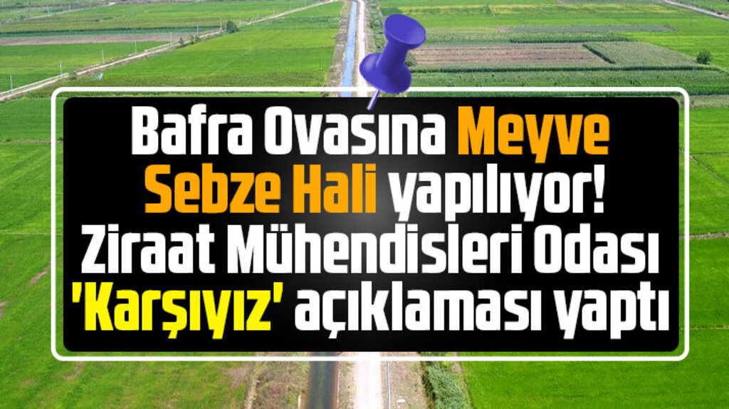Samsun'da Bafra Ovasına Meyve Sebze Hali yapımına Ziraat Mühendisleri karşı çıktı