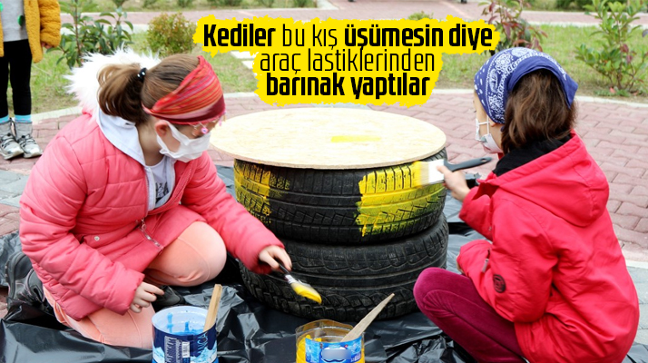 Samsun'un Atakum ilçesinde kediler üşümesin diye araç lastiklerinden barınak yapıldı