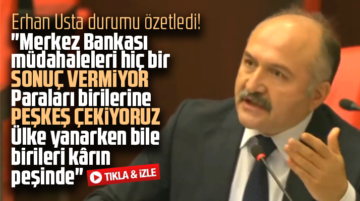 Erhan Usta'dan Merkez Bankası'nın dolar müdahalesine eleştiri! Peşkeş var