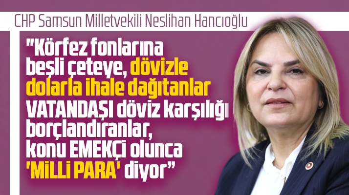 Samsun Milletvekili Hancıoğlu'ndan asgari ücret ve Milli Para açıklaması