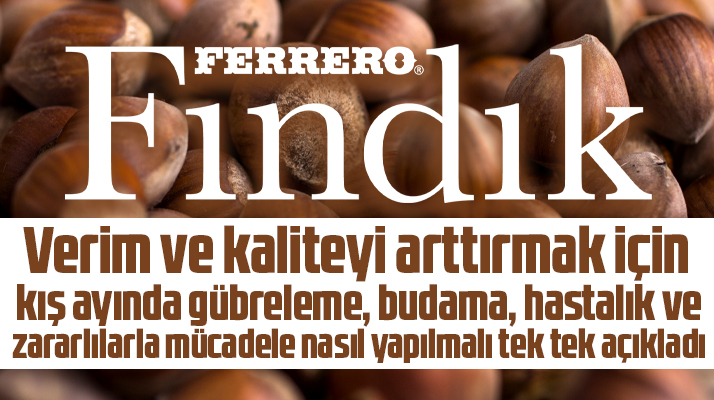 Ferrero Fındık fındıkta kışın budama ve gübreleme yöntemlerini açıkladı