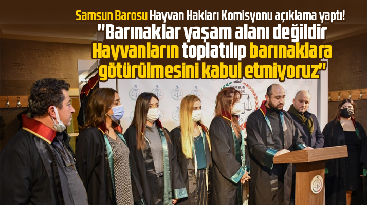 Samsun Barosu Hayvan Hakları Komisyonundan açıklama! Barınaklar yaşam alanı değildir