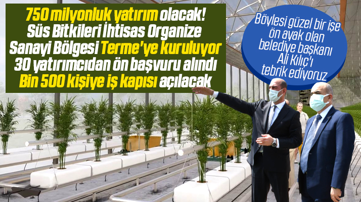 Samsun'un Terme ilçesine Süs Bitkileri Organize Sanayii Bölgesi kuruluyor