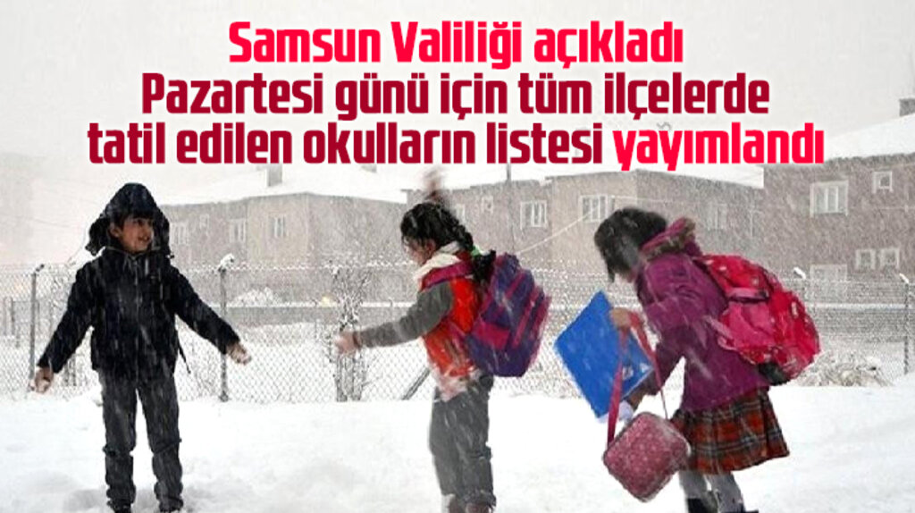 Samsun'da 17 ilçede, 17 Ocak Pazartesi günü için kar tatili verilen okulların listesi