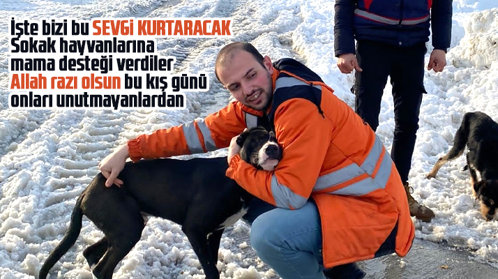 Samsun Büyükşehir kar yağışı nedeniyle sokak hayvanlarına mama desteği verdi