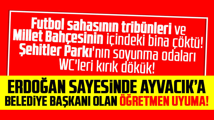 Samsun'un Ayvacık ilçesinden rezalet görüntüler