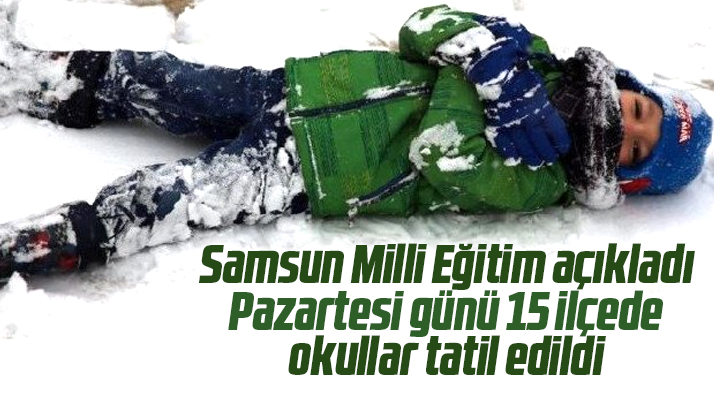 Samsun'da 21 Mart Pazartesi günü kar nedeniyle tatil edilen okulların listesi