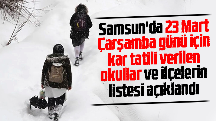 Samsun'da 23 Mart Çarşamba kar tatili verilen okullar ve ilçelerin listesi açıklandı