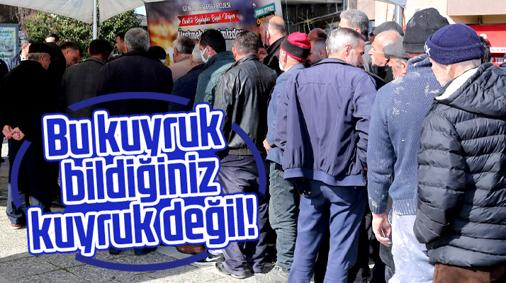 Samsun'da Canik Belediyesi buğday üretimi için 103 çiftçiye gübre desteği verdi
