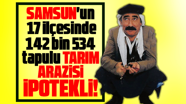 Samsun'da 17 ilçede tarım arazileri borçtan ipotekli