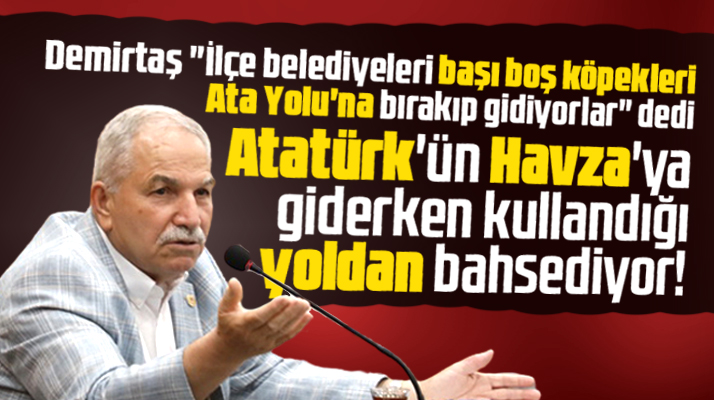 Necattin Demirtaş sokak köpeklerini İlkadım'a bırakan belediyelere tepki gösterdi