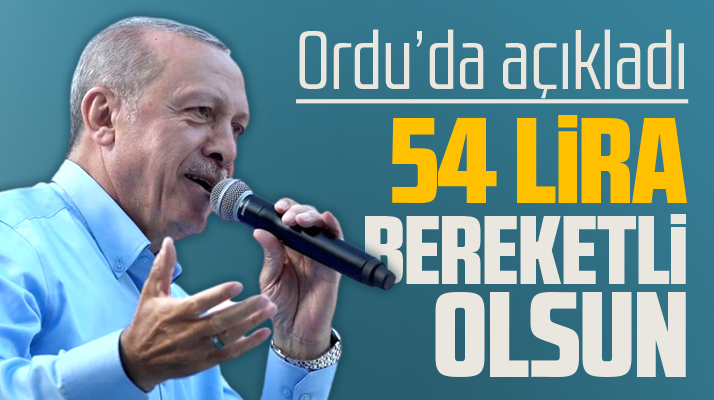 Erdoğan Ordu'da fındık fiyatını açıkladı! 2022 fındık fiyatı 54 lira