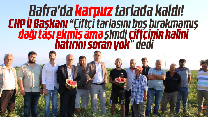 CHP Samsun İl Başkanı Fatih Türkel, Bafra'da karpuzların tarlada kaldığını açıkladı