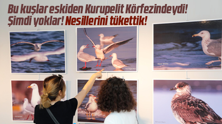 Samsun'da Atakum Belediyesi nesli tükenen kuşlar için fotoğraf sergisi açtı